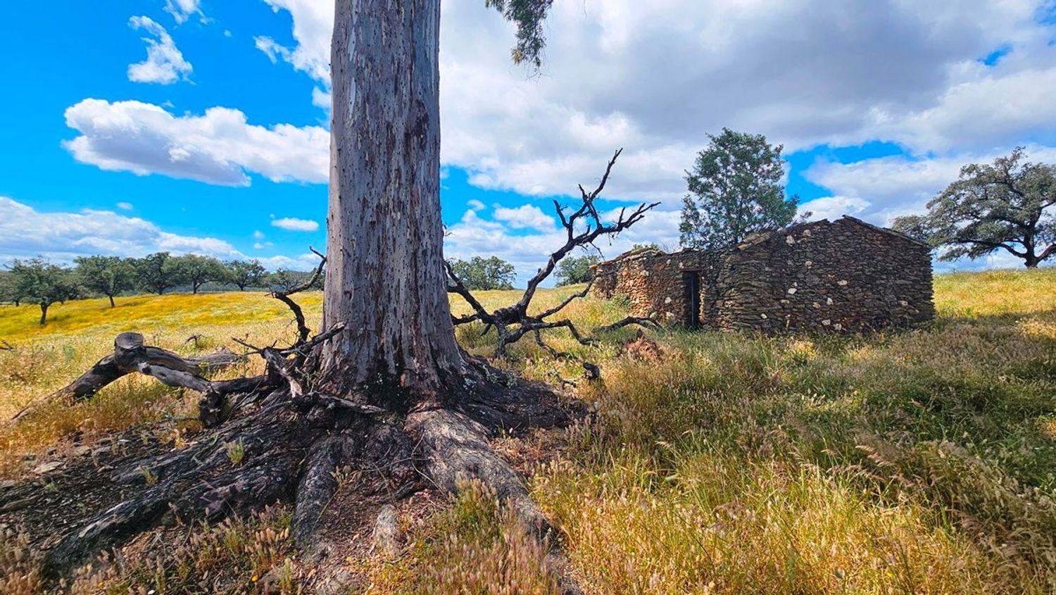 Casa en Venta en Almonaster la Real