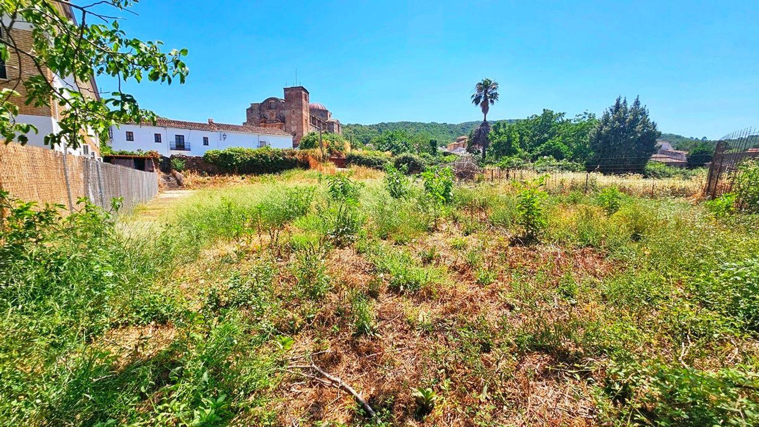 Plot for Sale in Castaño del Robledo