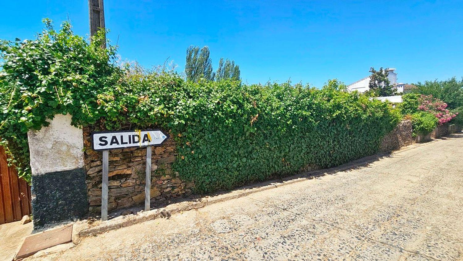 Plot for Sale in Castaño del Robledo