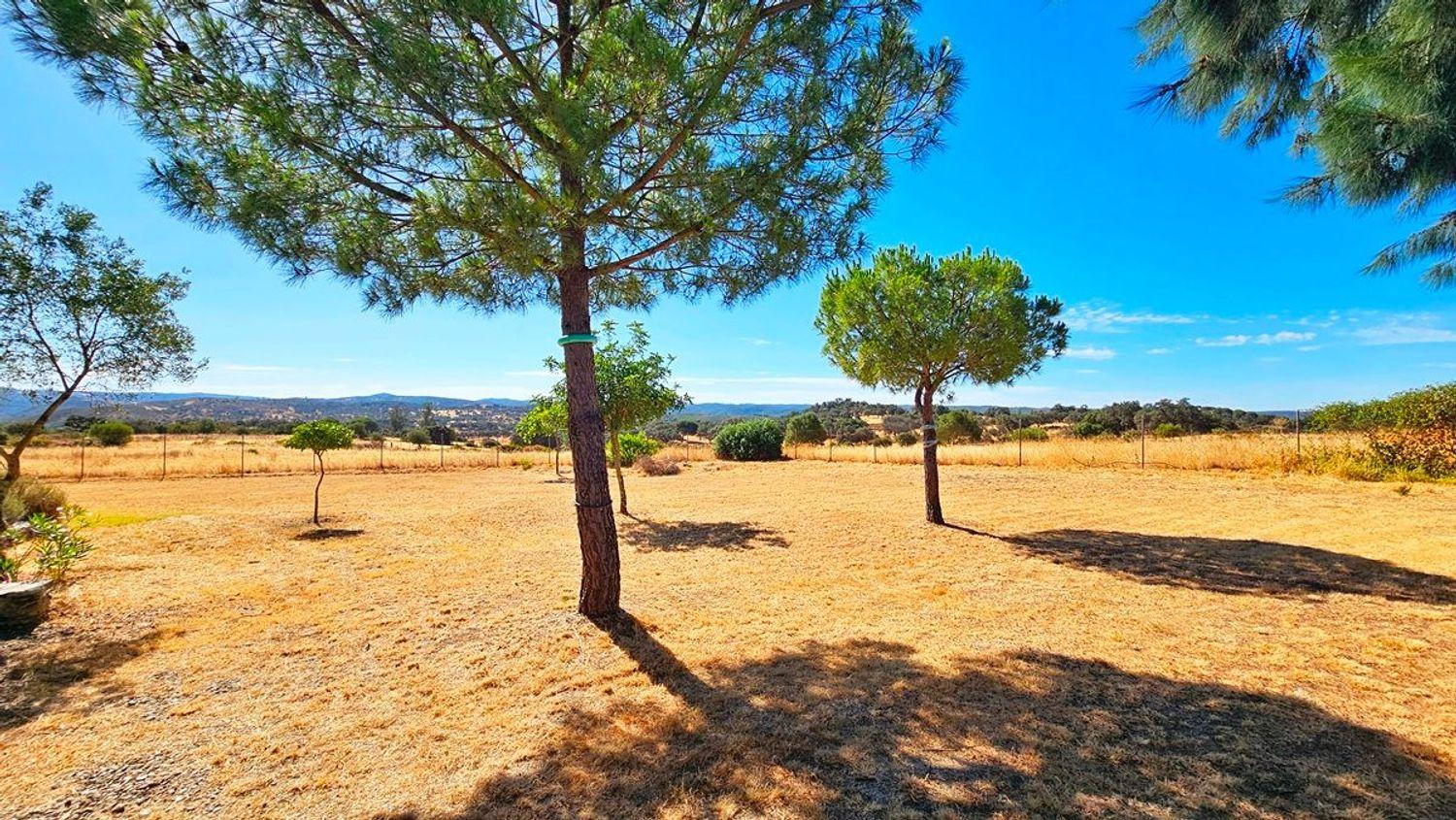 Casa en Venta en El Madroño
