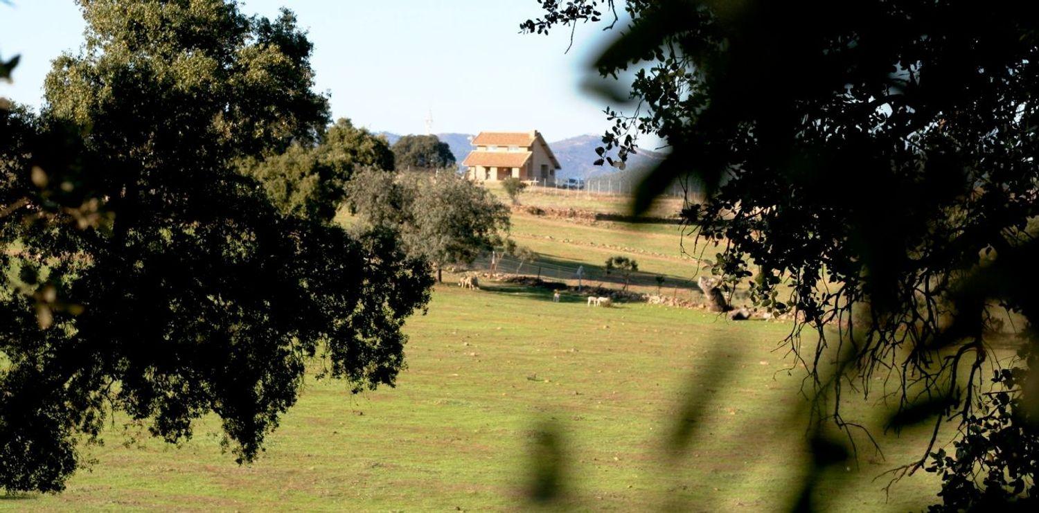 Casa en Venta en El Madroño
