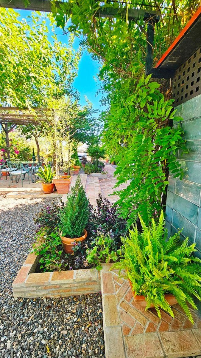 Casa en Venta en El Madroño