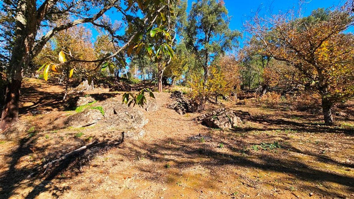 Building Site for Sale in Galaroza