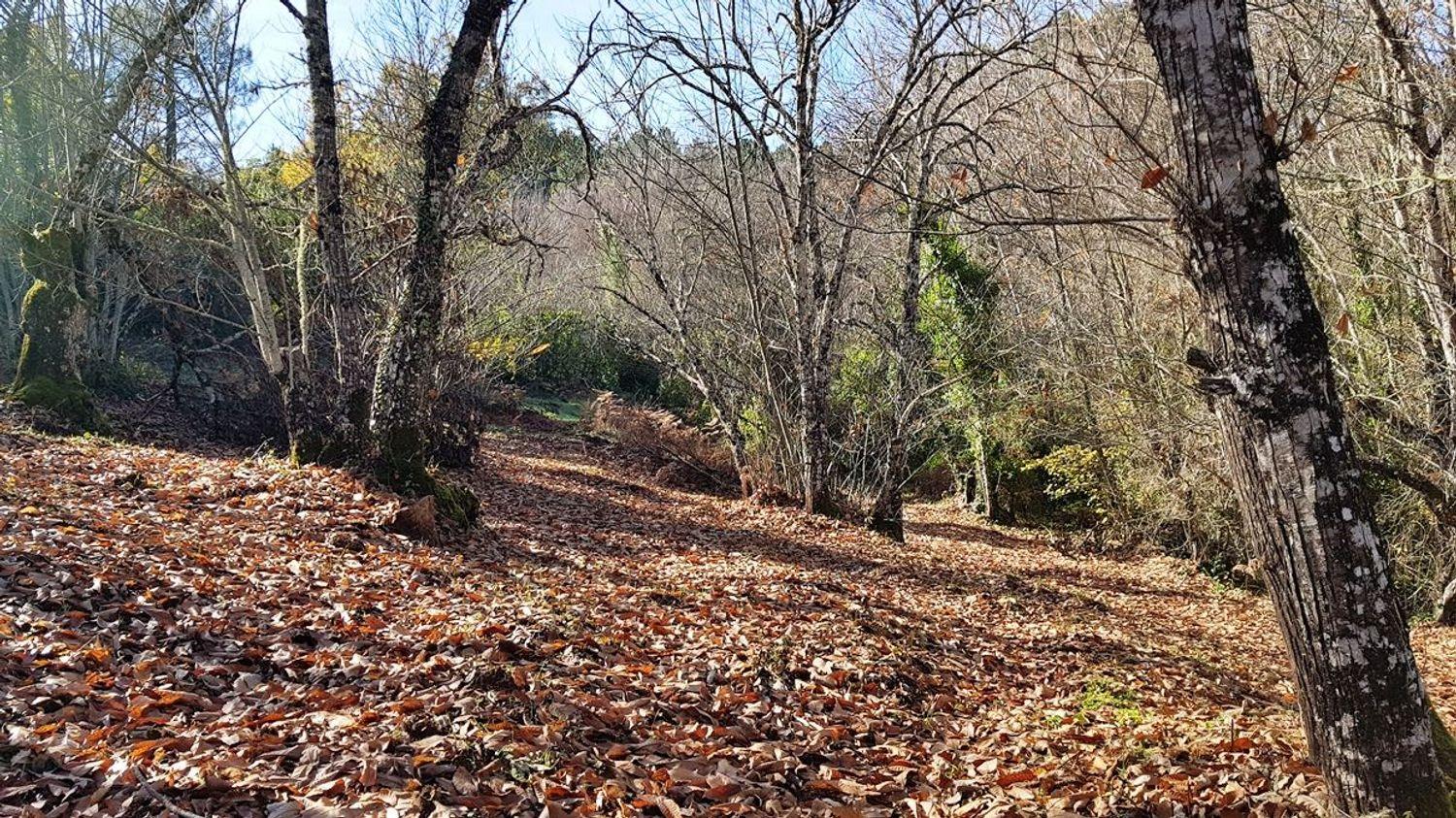 Building Site for Sale in Galaroza