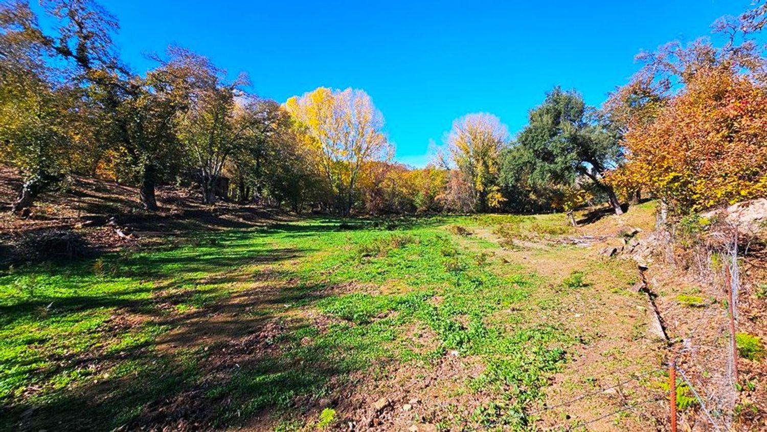 Building Site for Sale in Galaroza