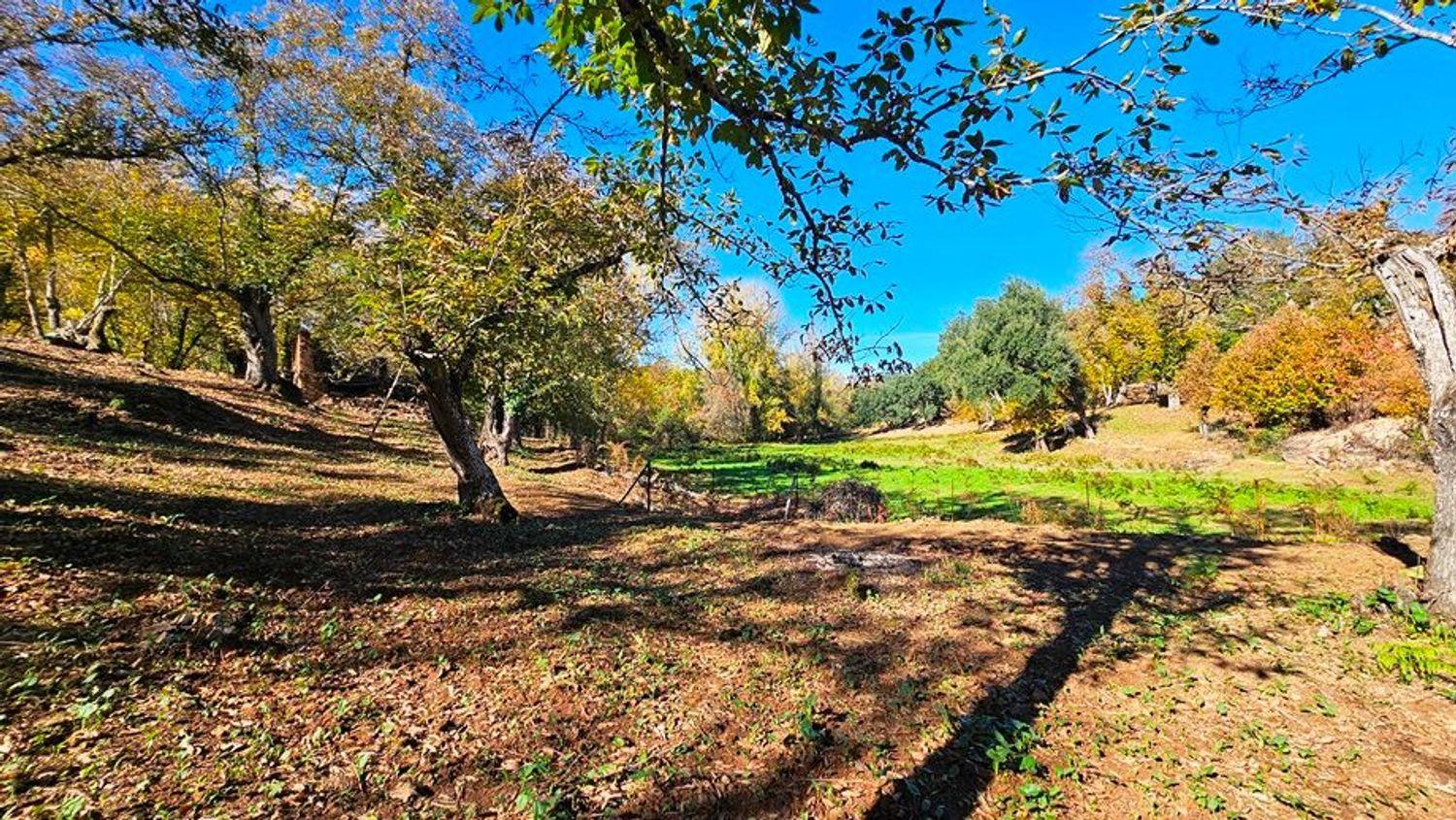 Building Site for Sale in Galaroza