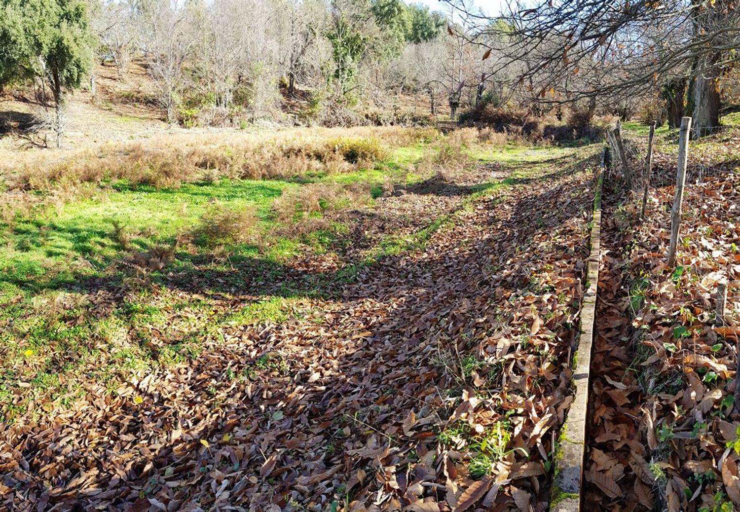 Building Site for Sale in Galaroza