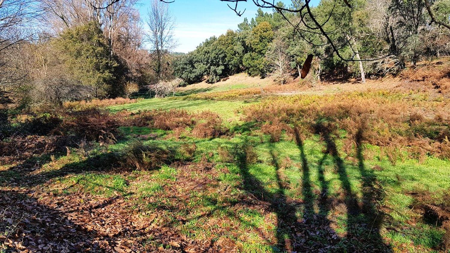 Building Site for Sale in Galaroza