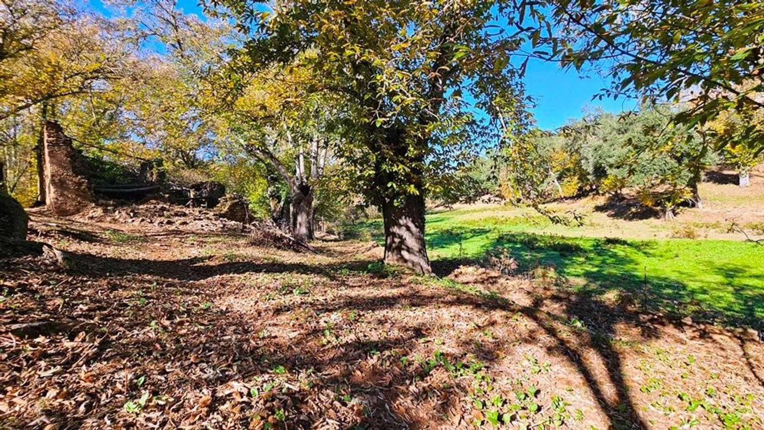 Building Site for Sale in Galaroza