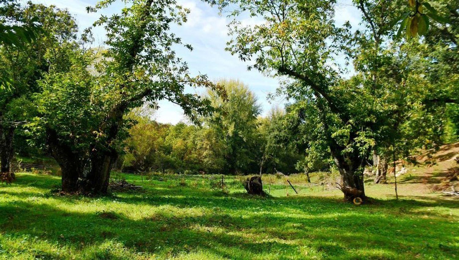 Building Site for Sale in Galaroza