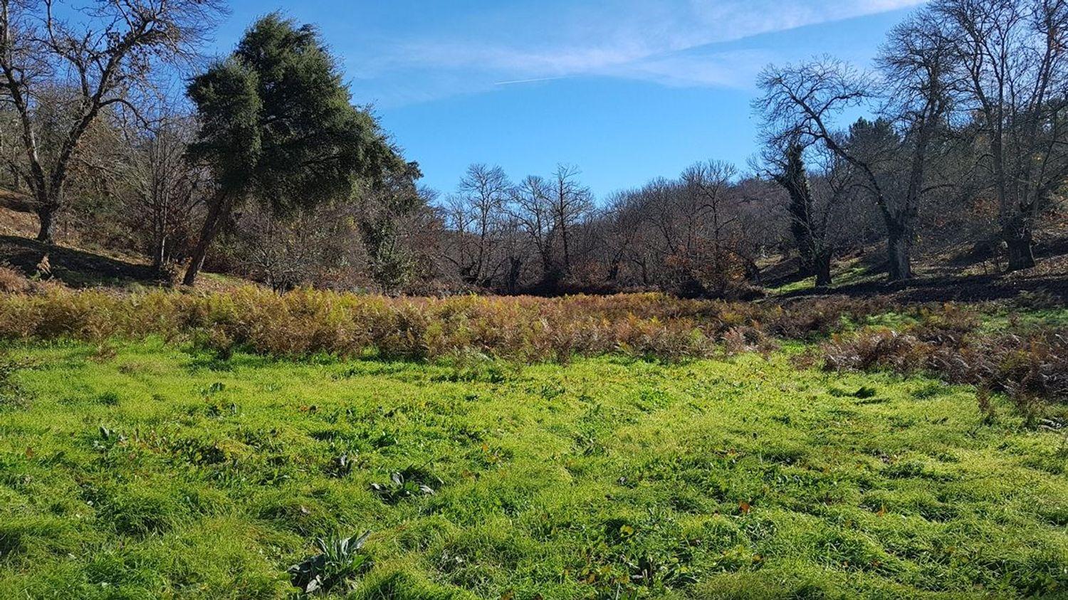 Building Site for Sale in Galaroza