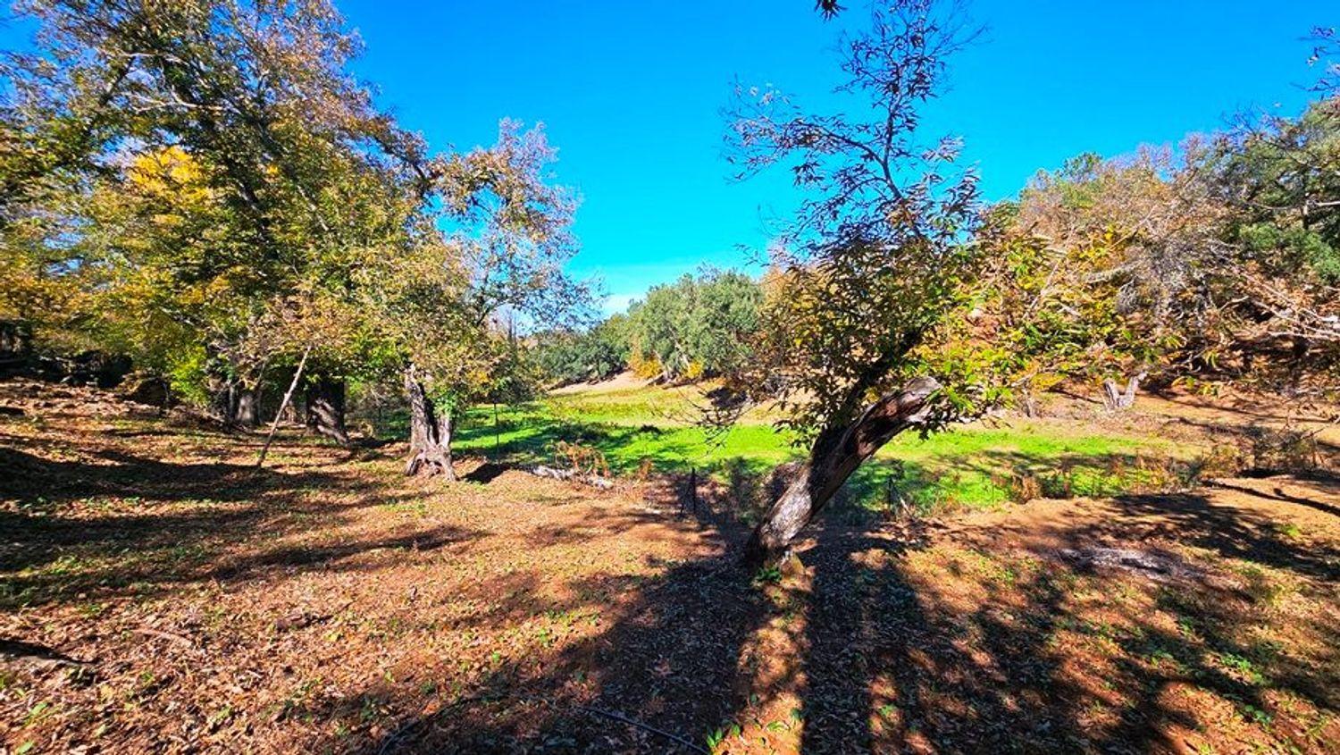 Building Site for Sale in Galaroza