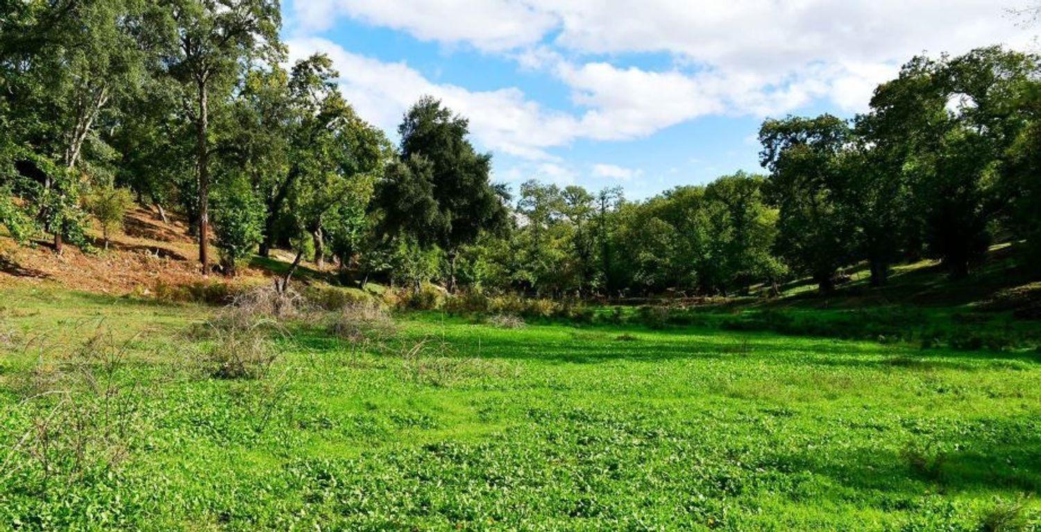 Building Site for Sale in Galaroza
