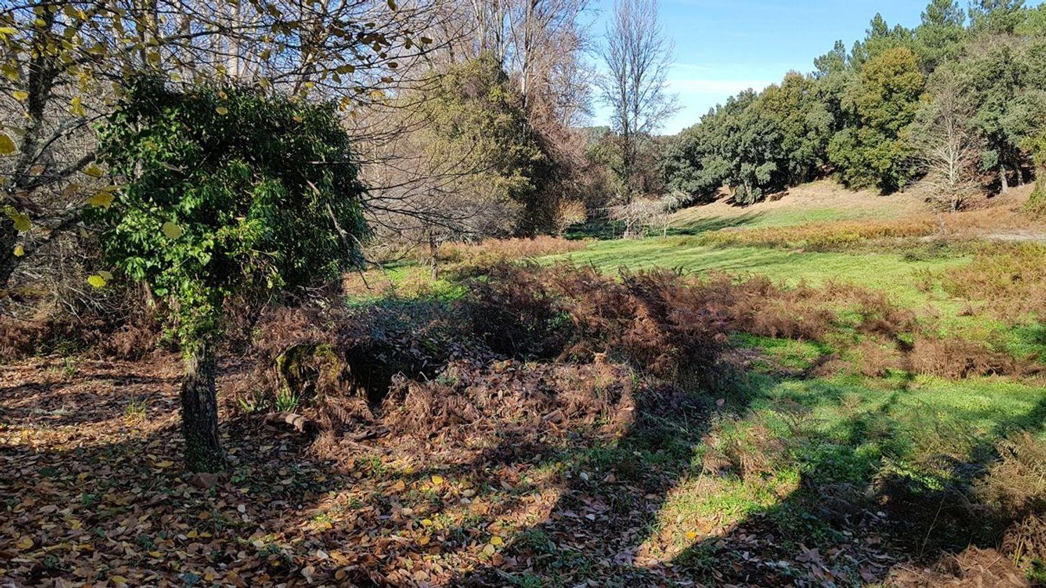 Building Site for Sale in Galaroza
