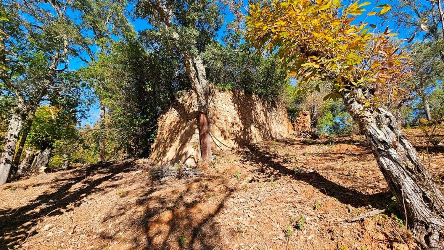 Building Site for Sale in Galaroza
