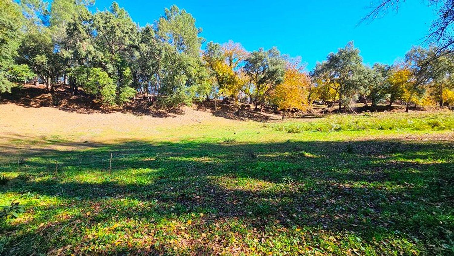 Building Site for Sale in Galaroza