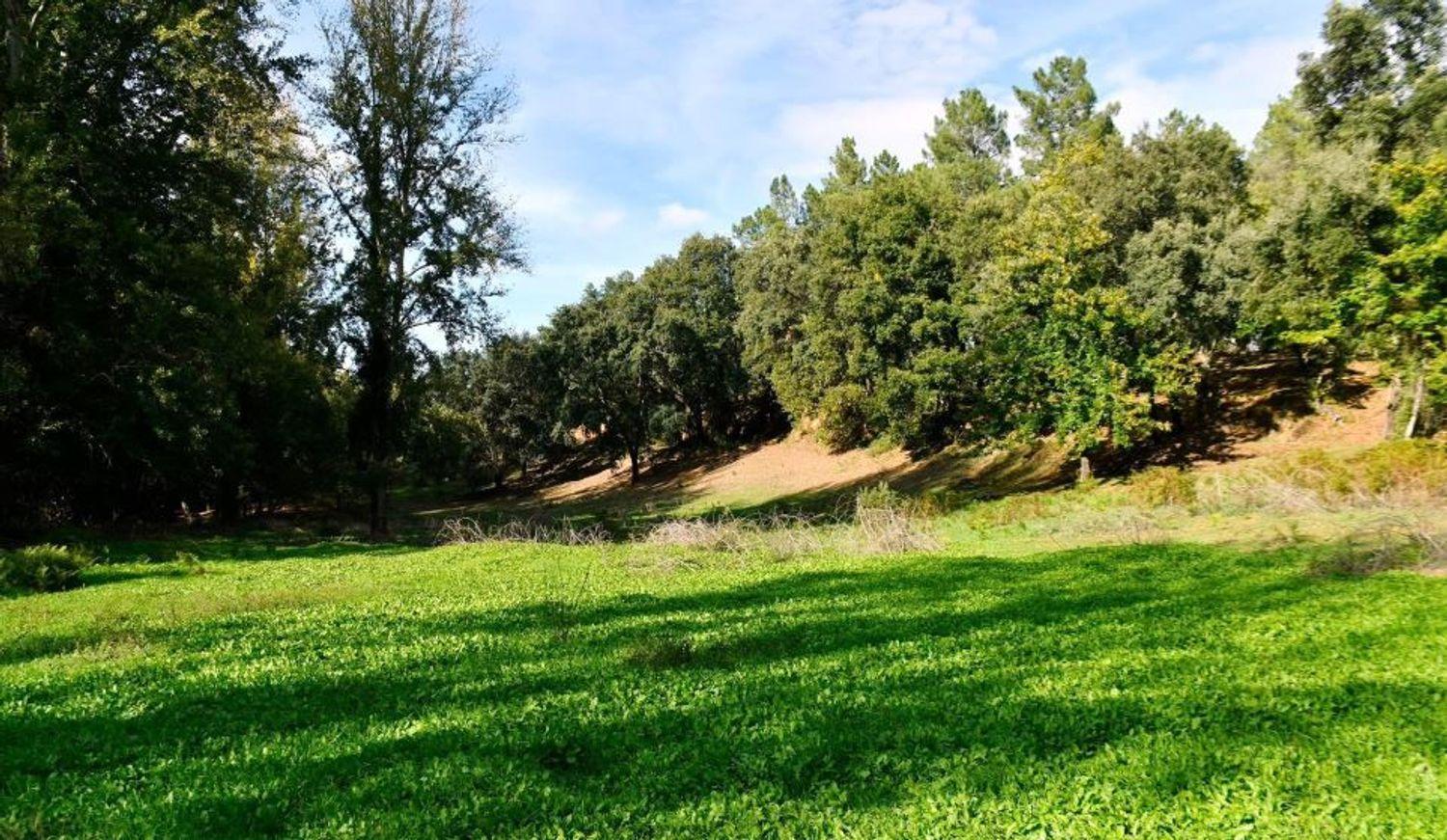 Building Site for Sale in Galaroza