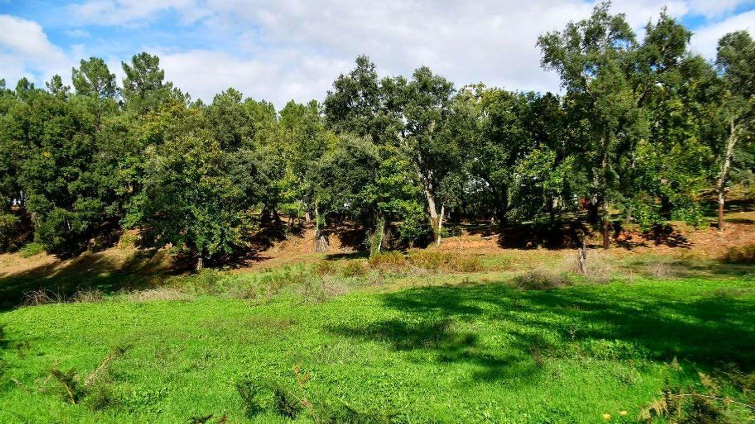 Building Site for Sale in Galaroza