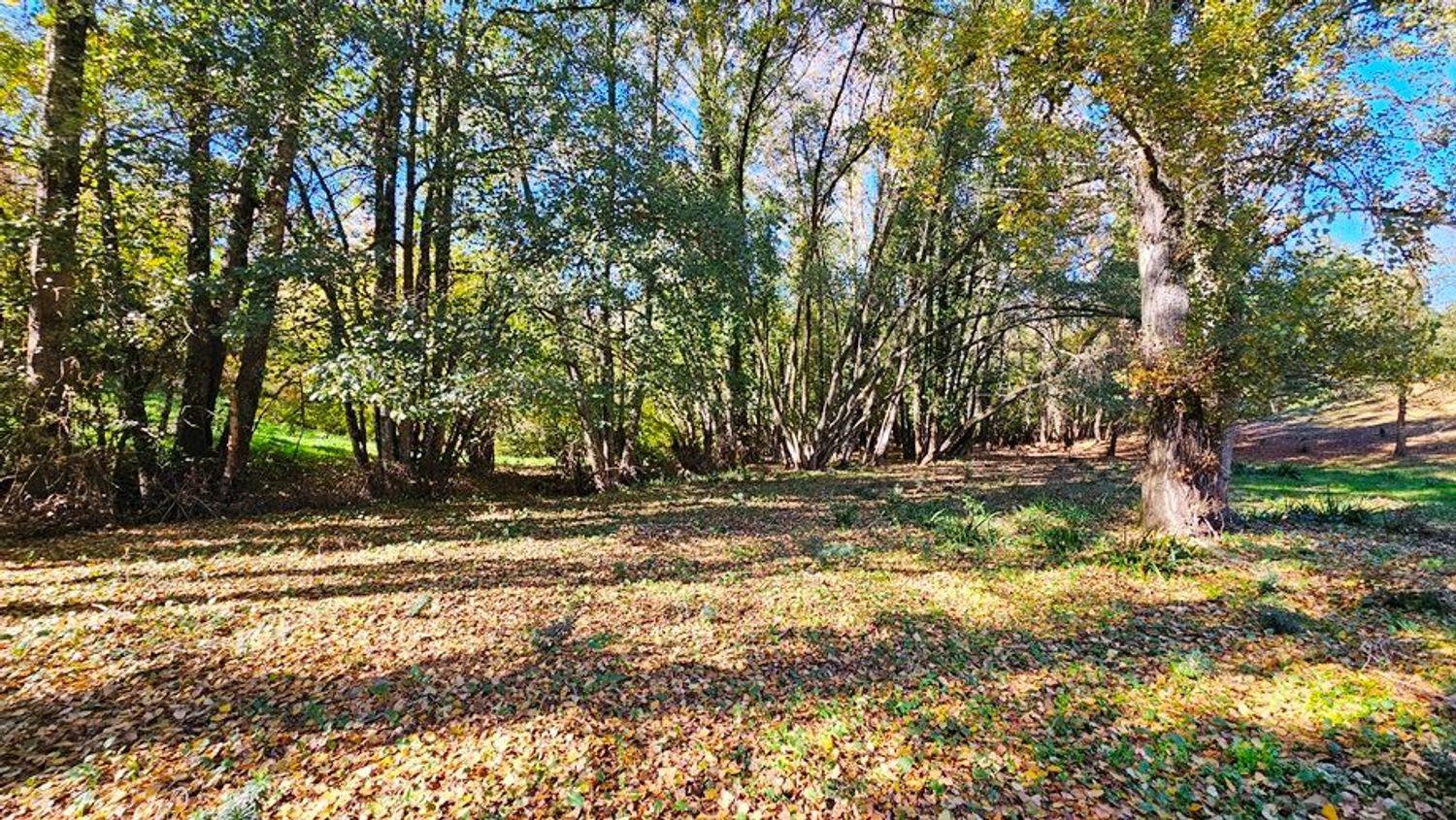 Building Site for Sale in Galaroza
