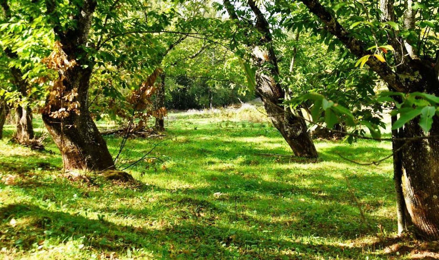 Building Site for Sale in Galaroza