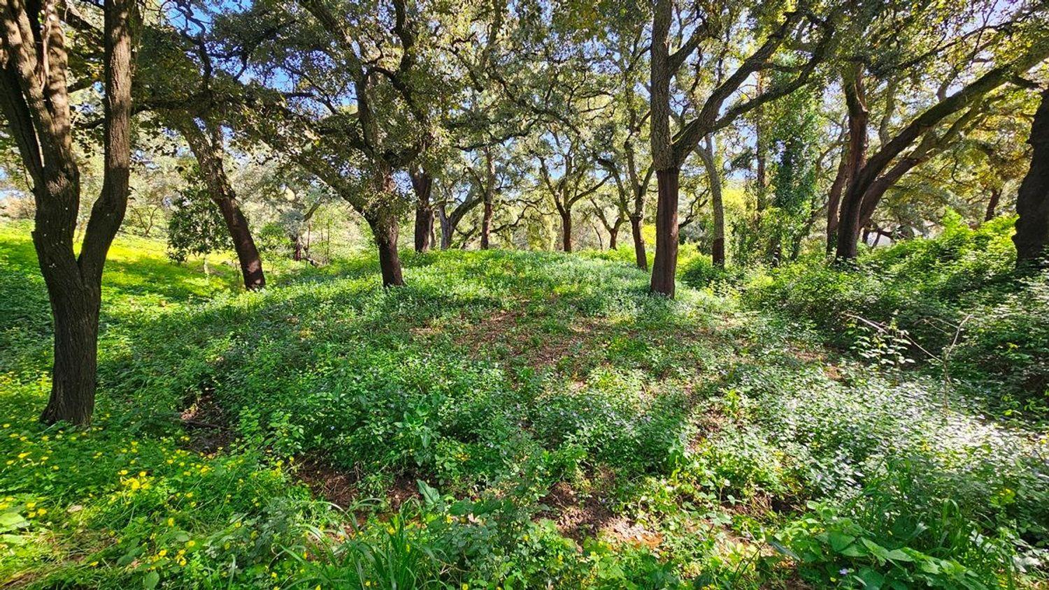 House for Sale in Santa Ana la Real