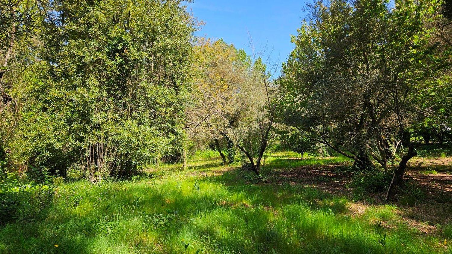 House for Sale in Santa Ana la Real