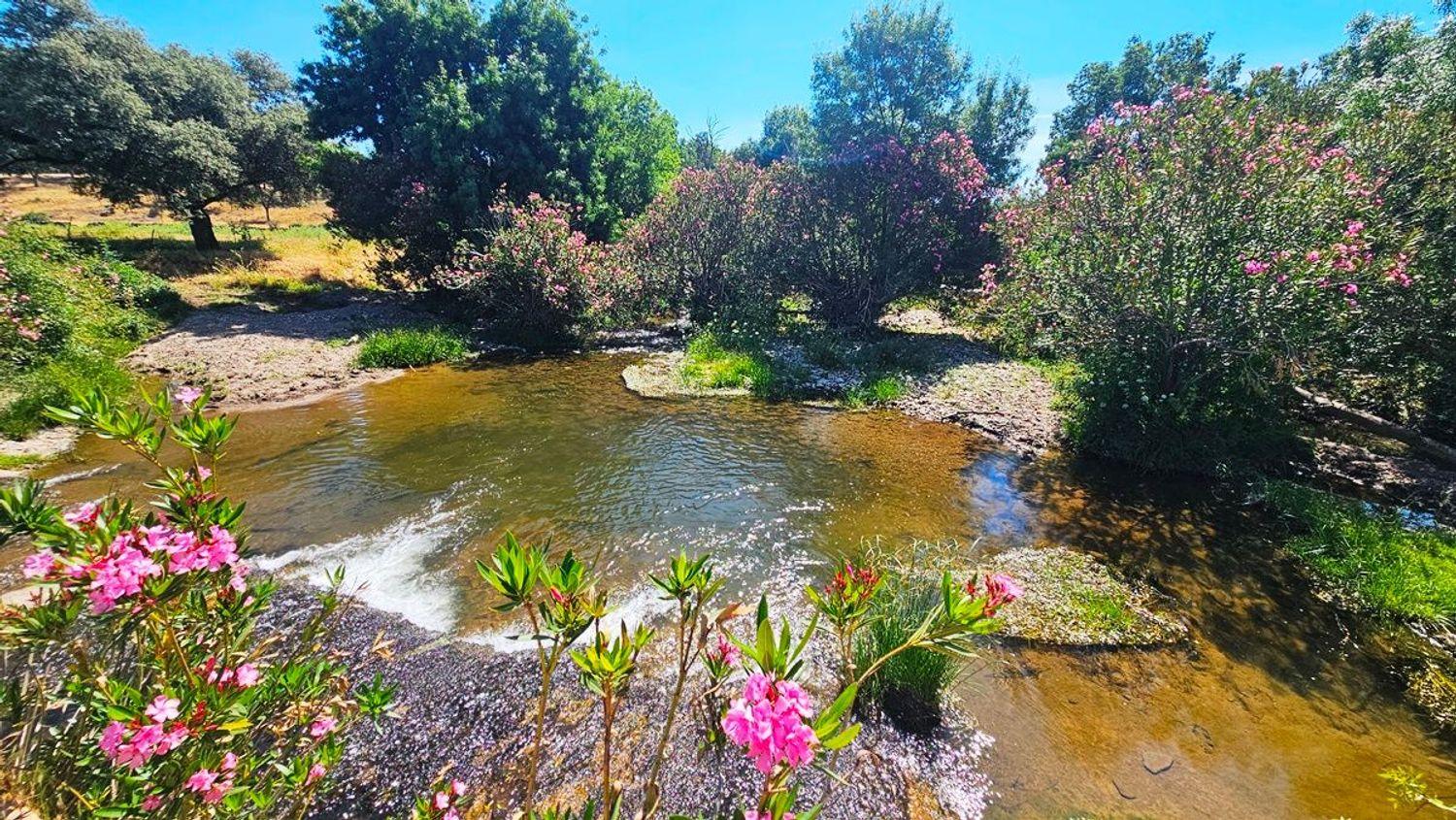House for Sale in Aracena