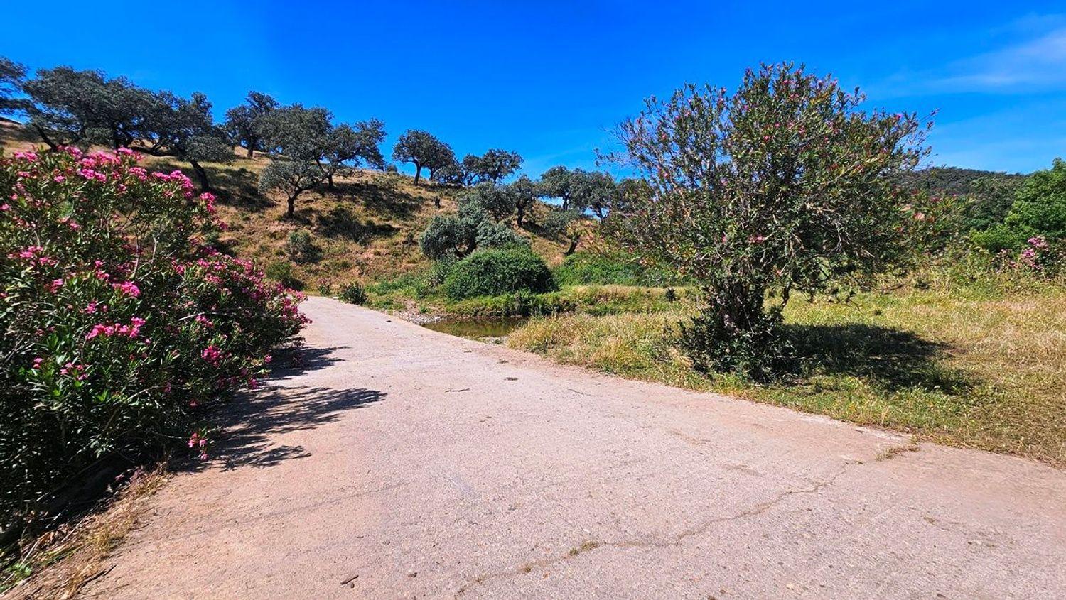 House for Sale in Aracena
