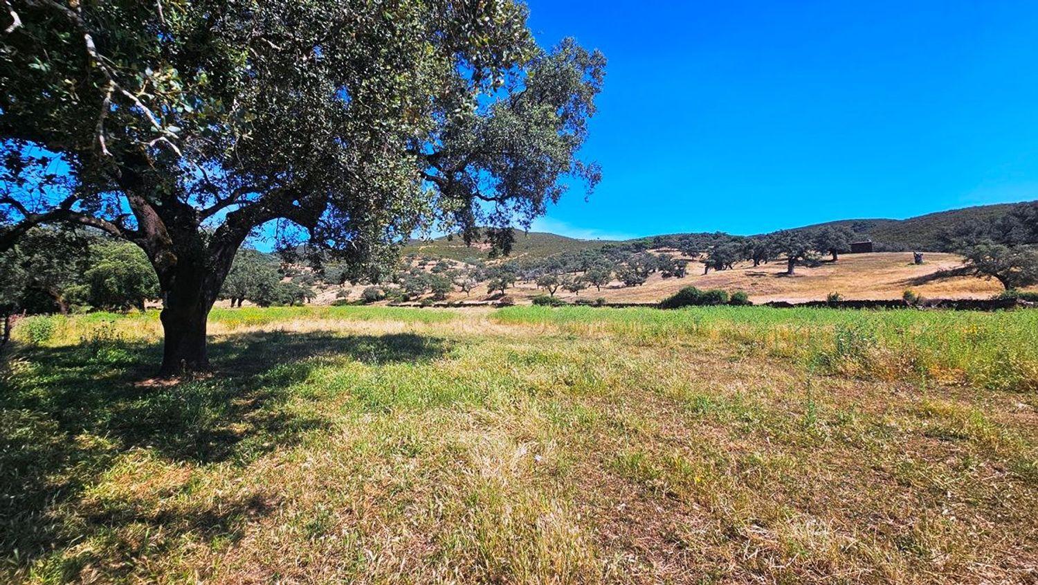 House for Sale in Aracena
