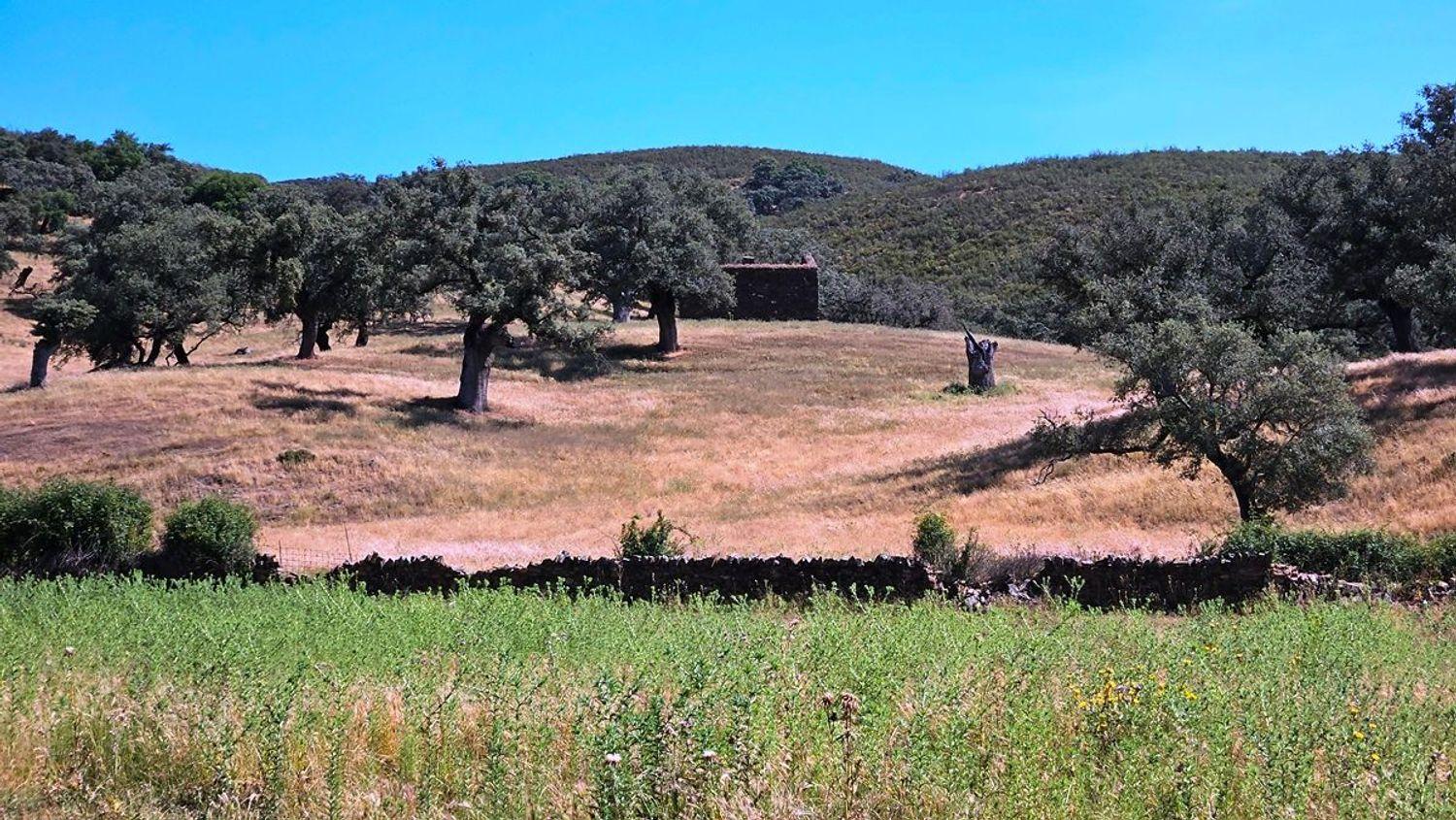 House for Sale in Aracena