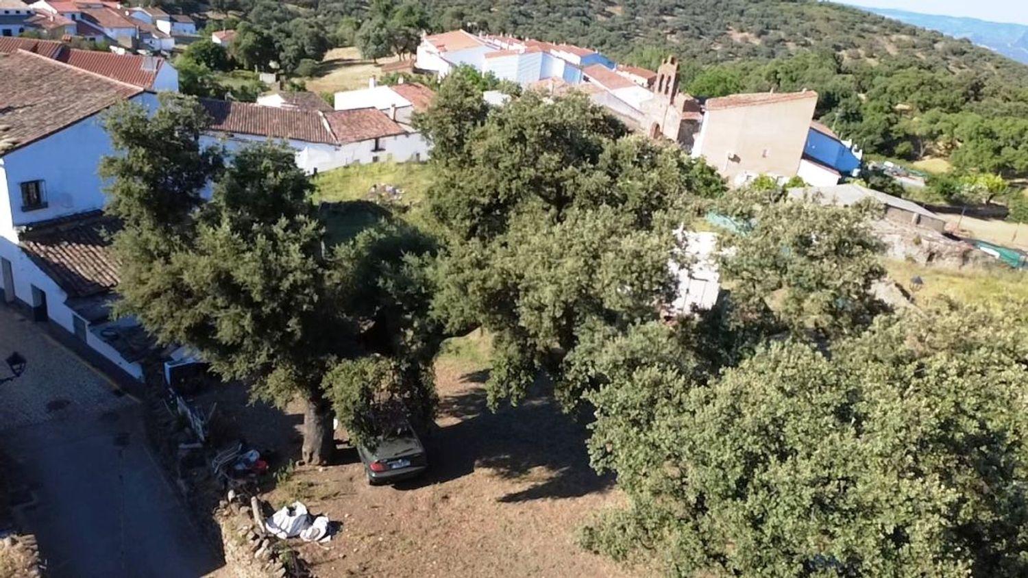 Plot for Sale in Aracena