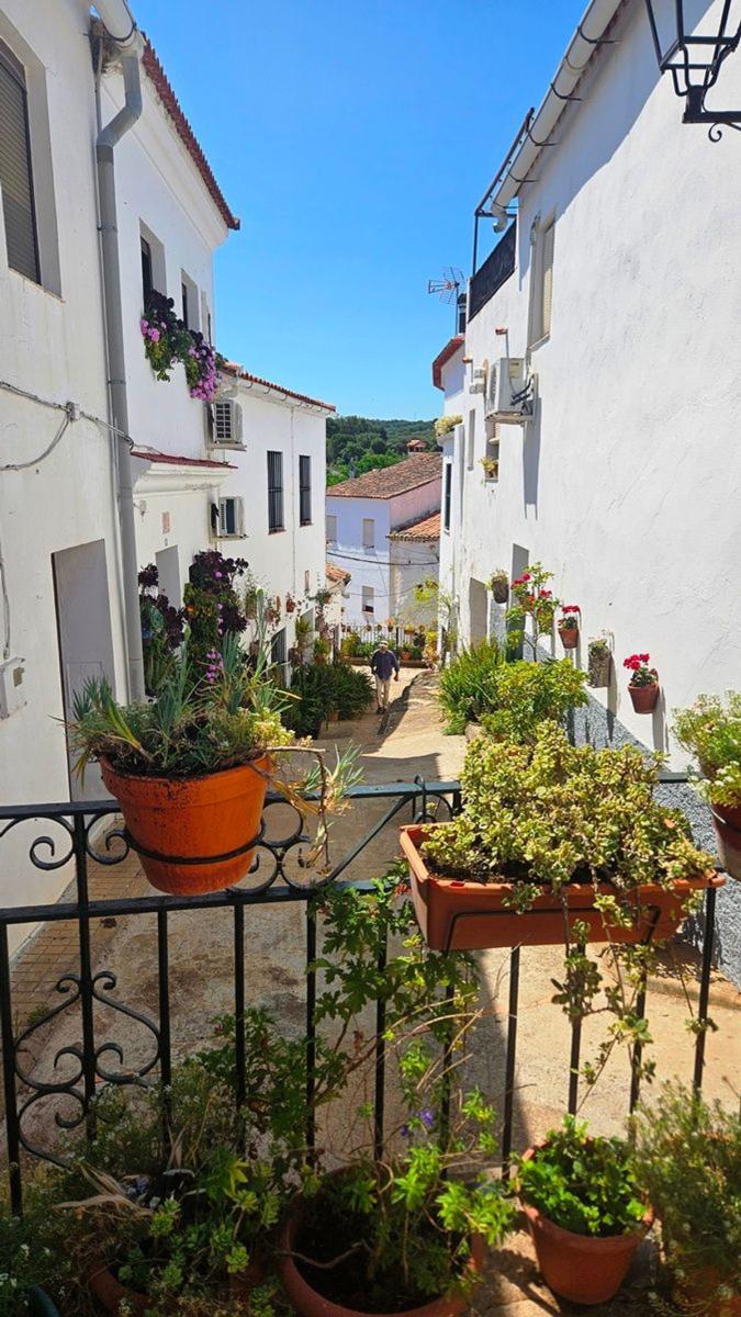 Villa for Sale in Corteconcepción