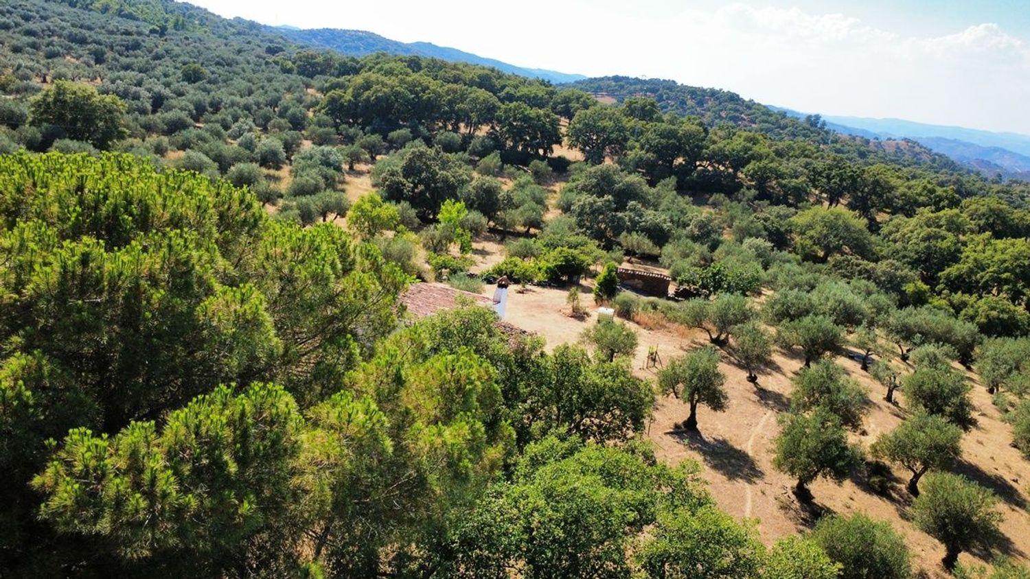 Casa en Venta en Puerto Moral