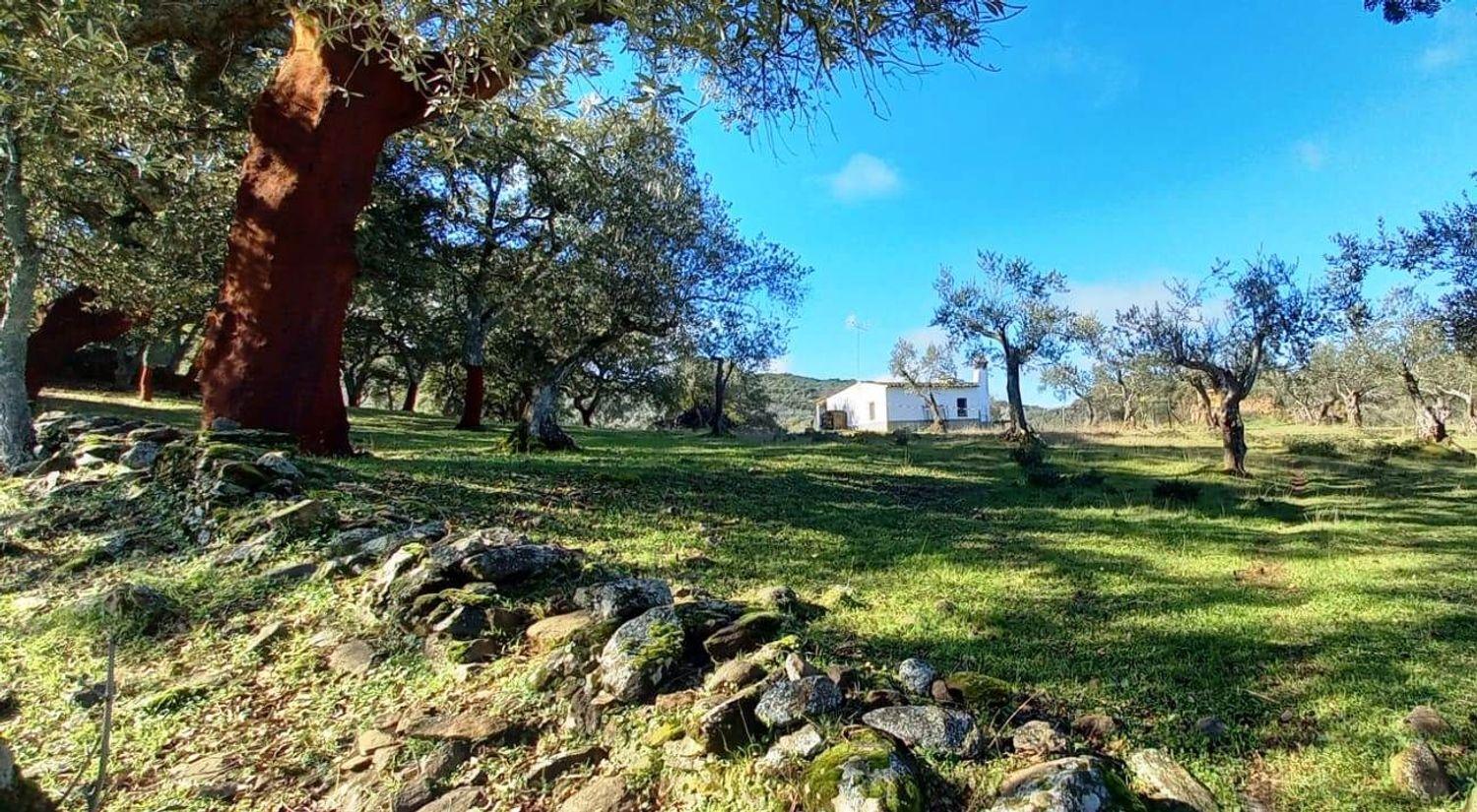 Casa en Venta en Puerto Moral
