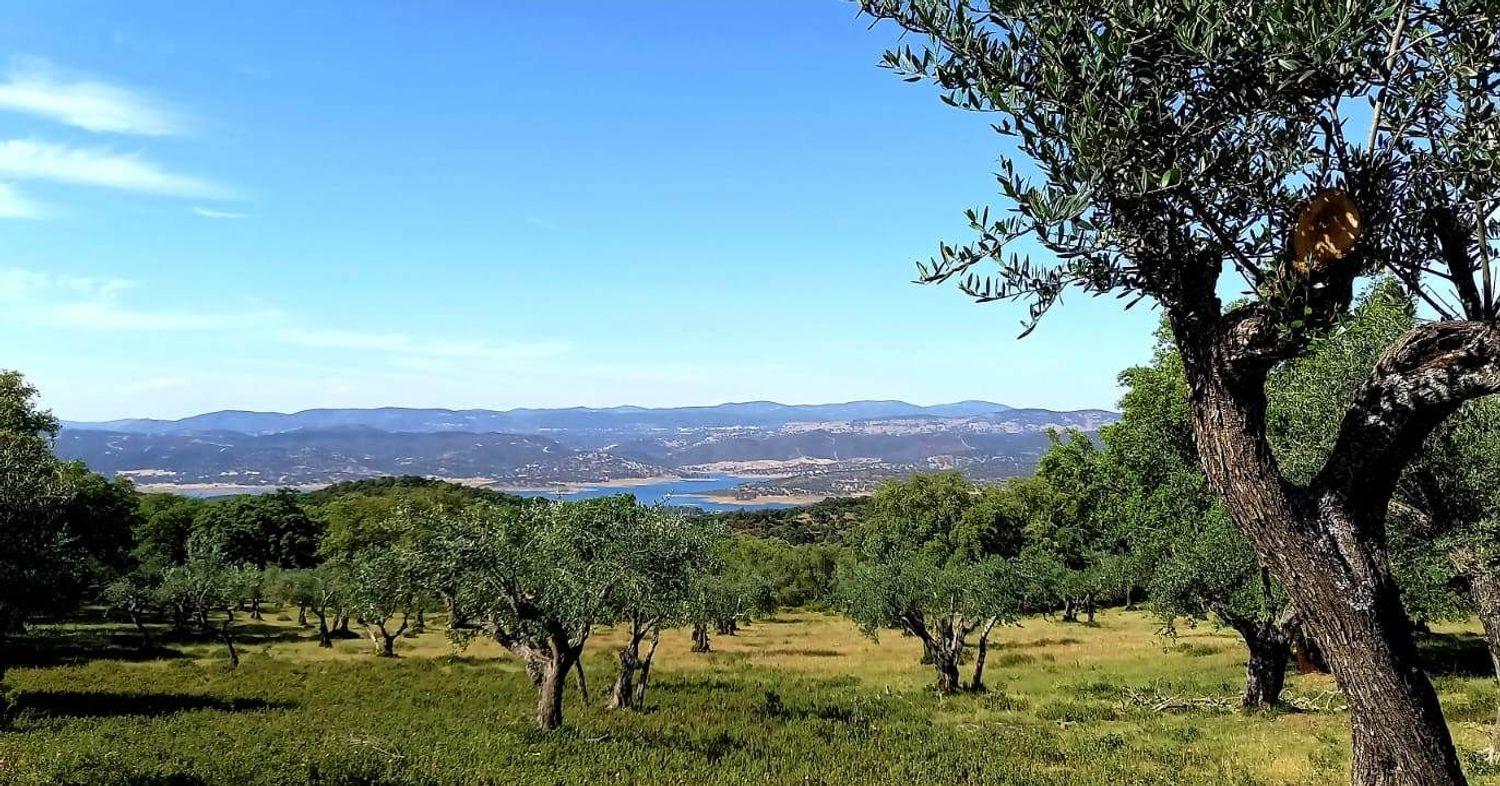 Casa en Venta en Puerto Moral