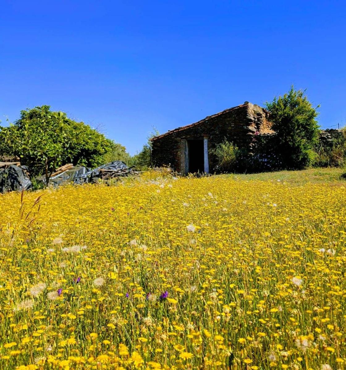 Casa en Venta en Puerto Moral
