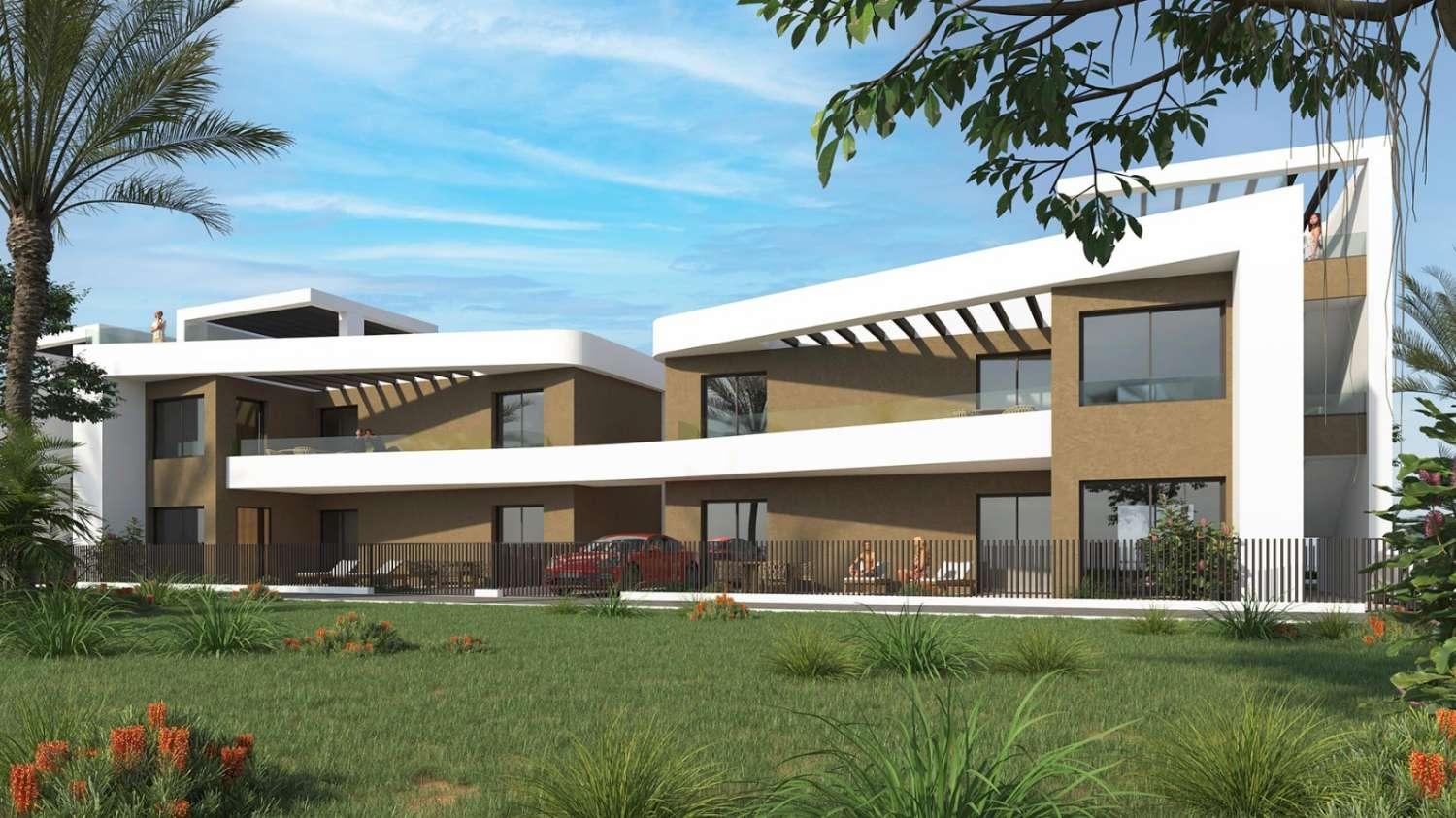 Pareado en Venta en Orihuela