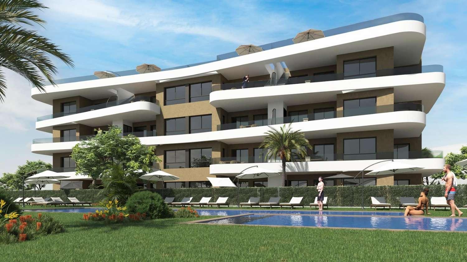 Pareado en Venta en Orihuela