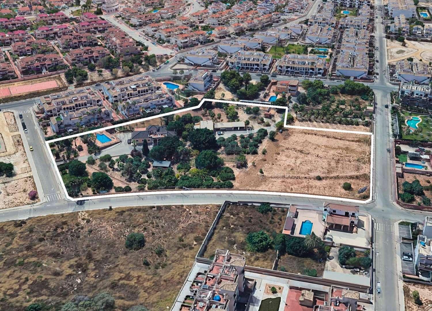 Pareado en Venta en Orihuela
