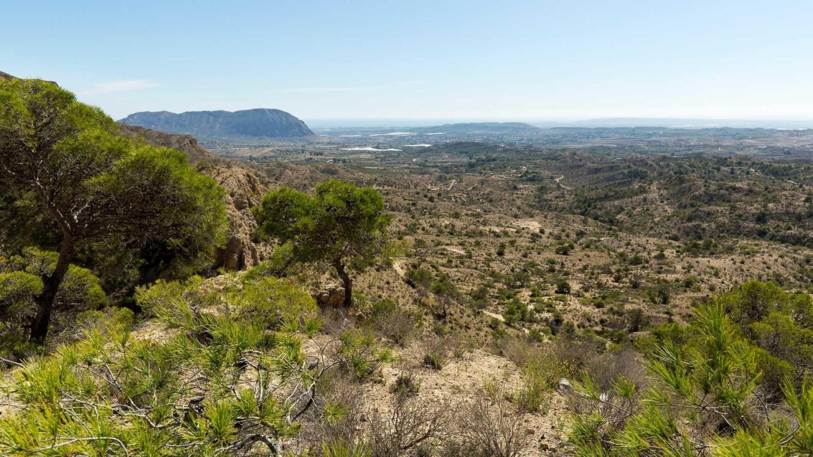 Villa for Sale in Aspe