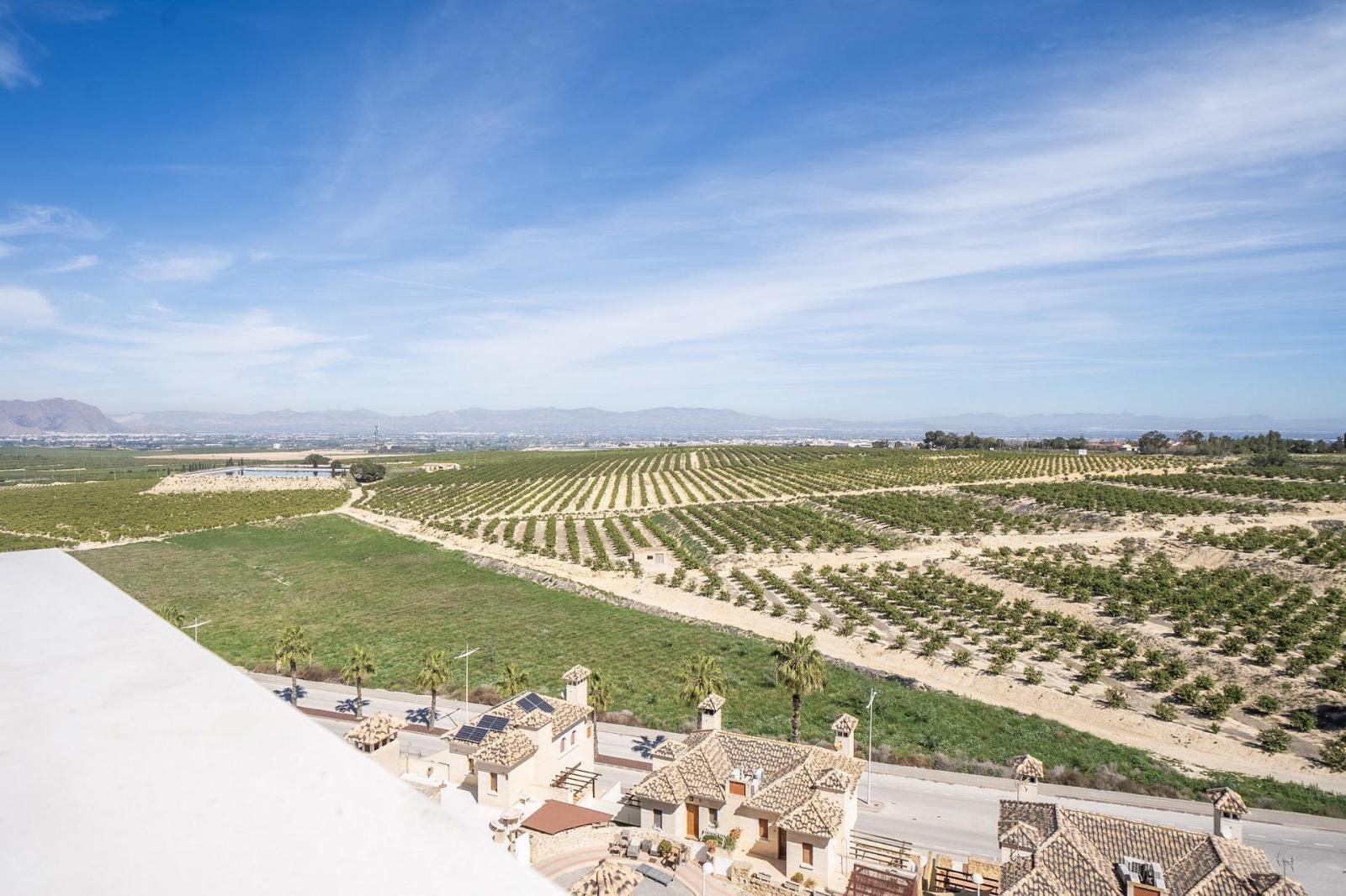 Villa for Sale in Algorfa