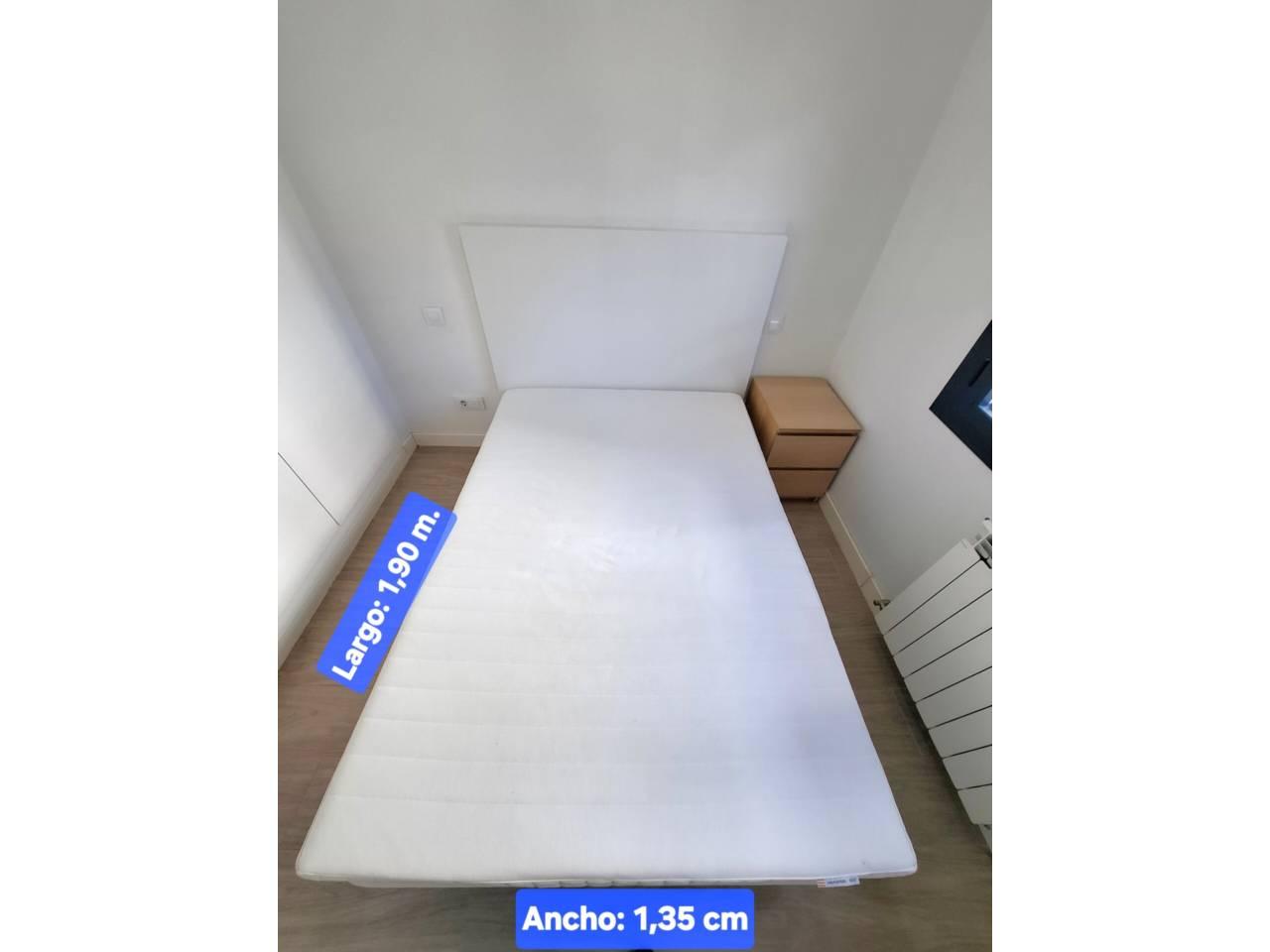Flat for Rent in Madrid
