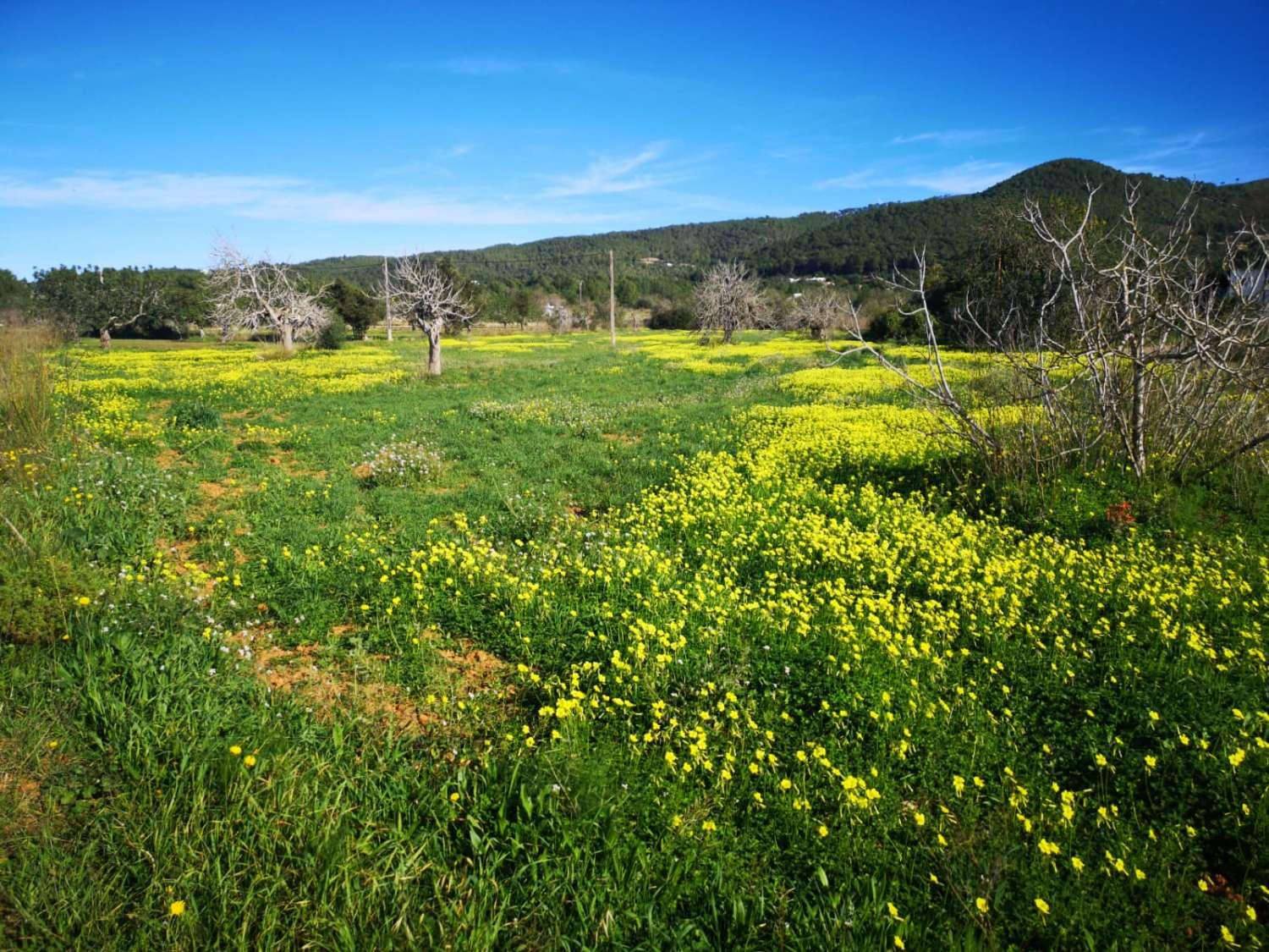 Parcela en Venta en Sant Joan de Labritja