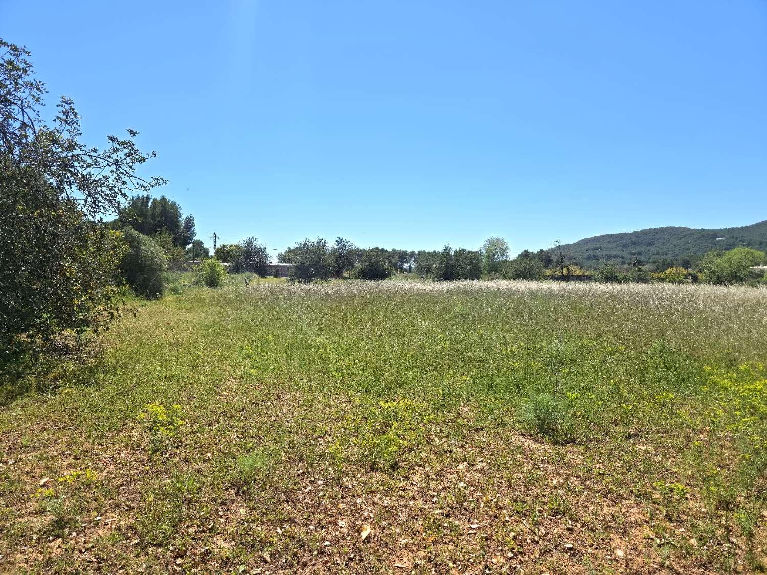 Plot for Sale in Sant Joan de Labritja