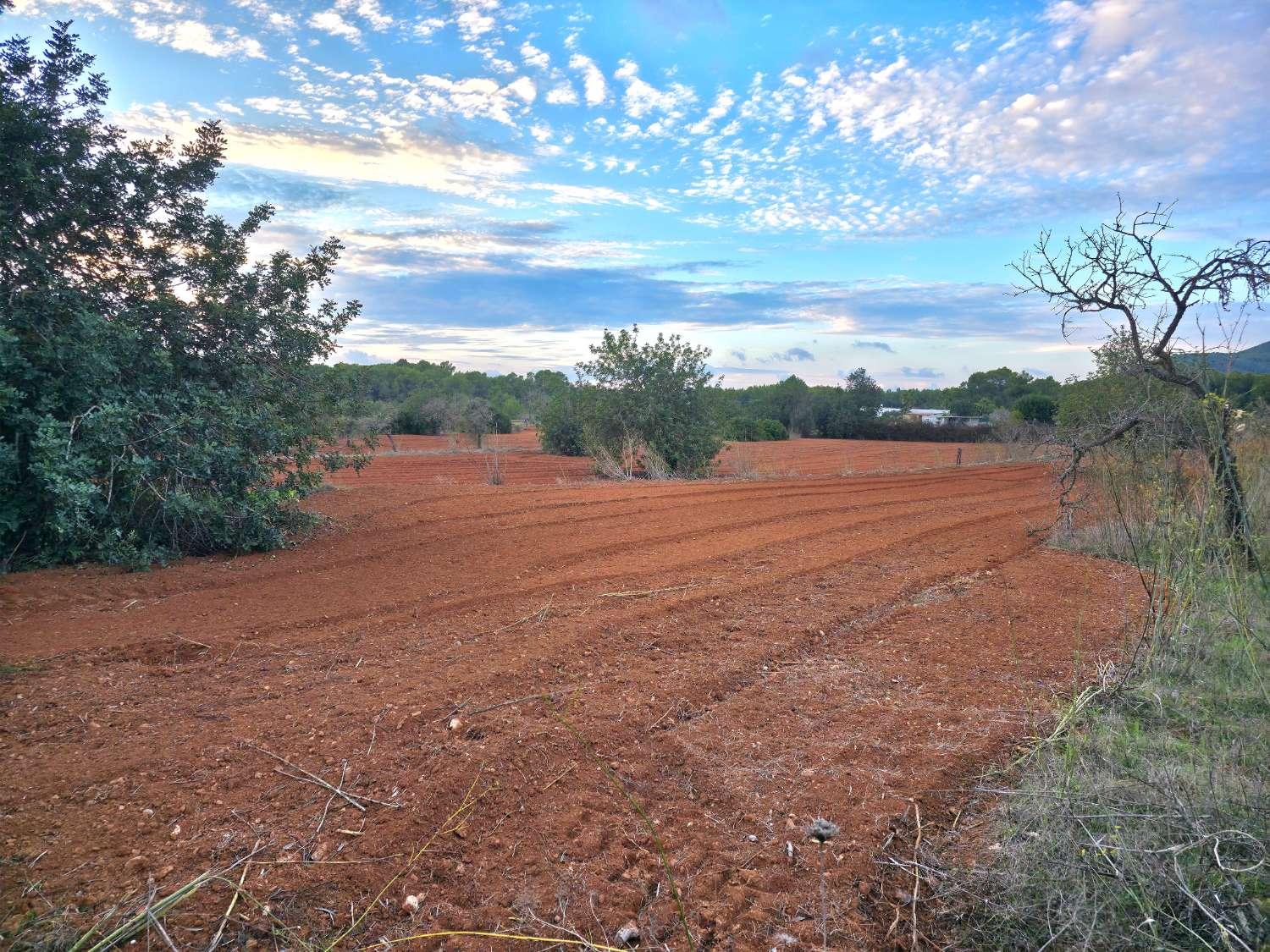 Parcela en Venta en Sant Joan de Labritja
