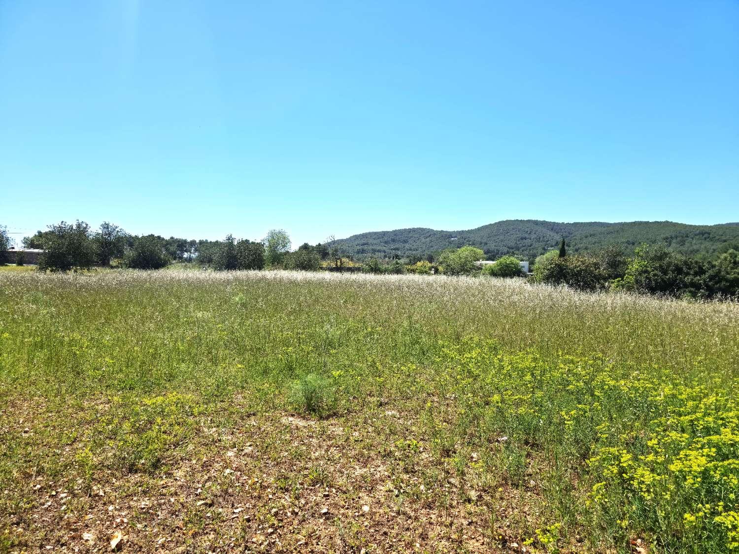 Plot for Sale in Sant Joan de Labritja