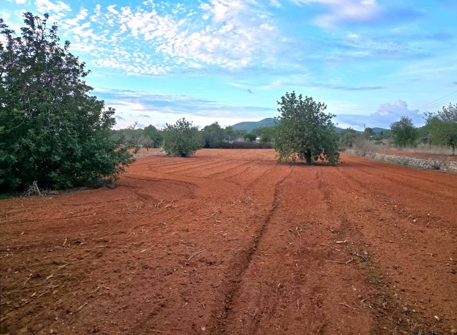 Parcela en Venta en Sant Joan de Labritja