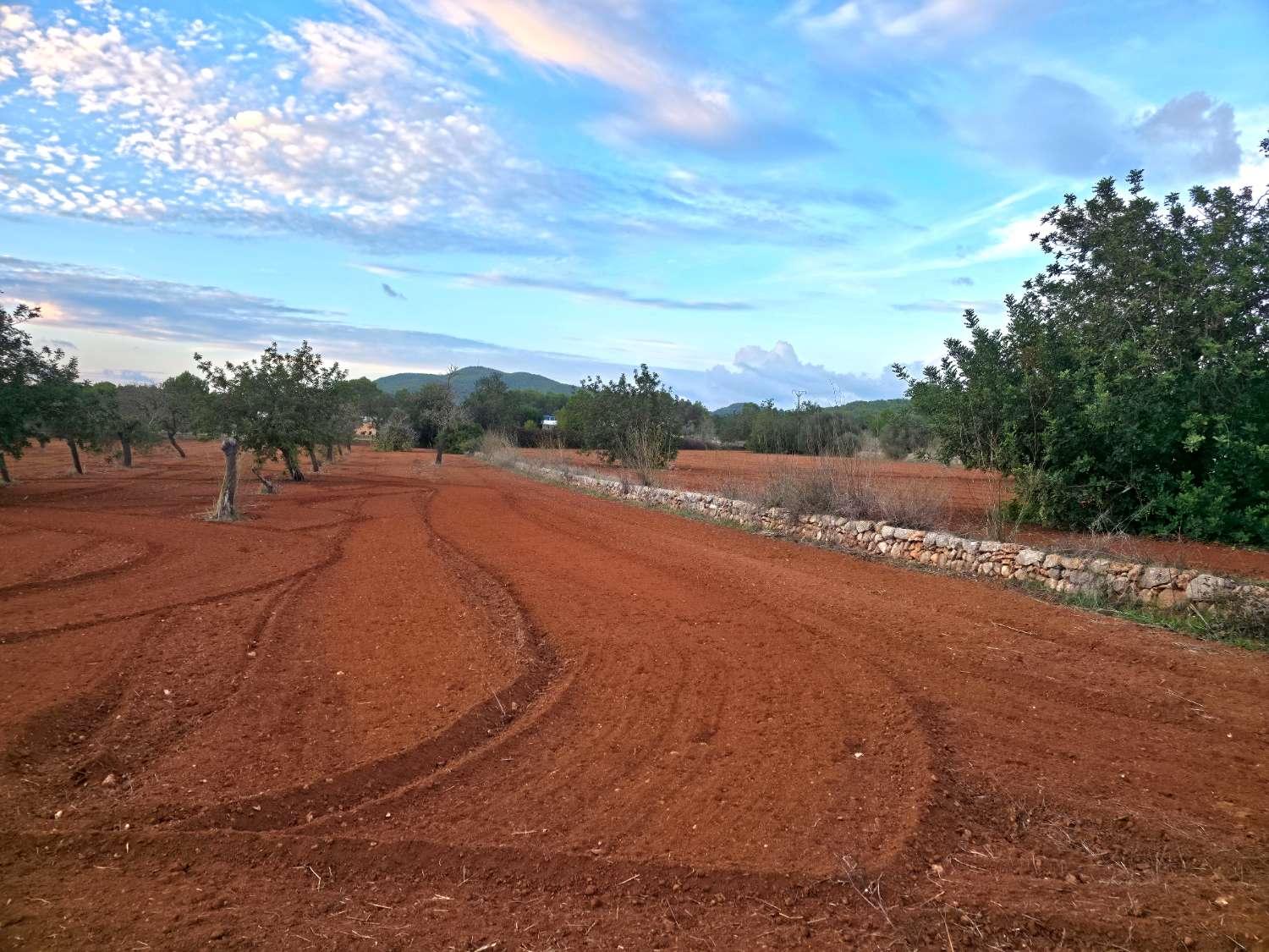 Parcela en Venta en Sant Joan de Labritja