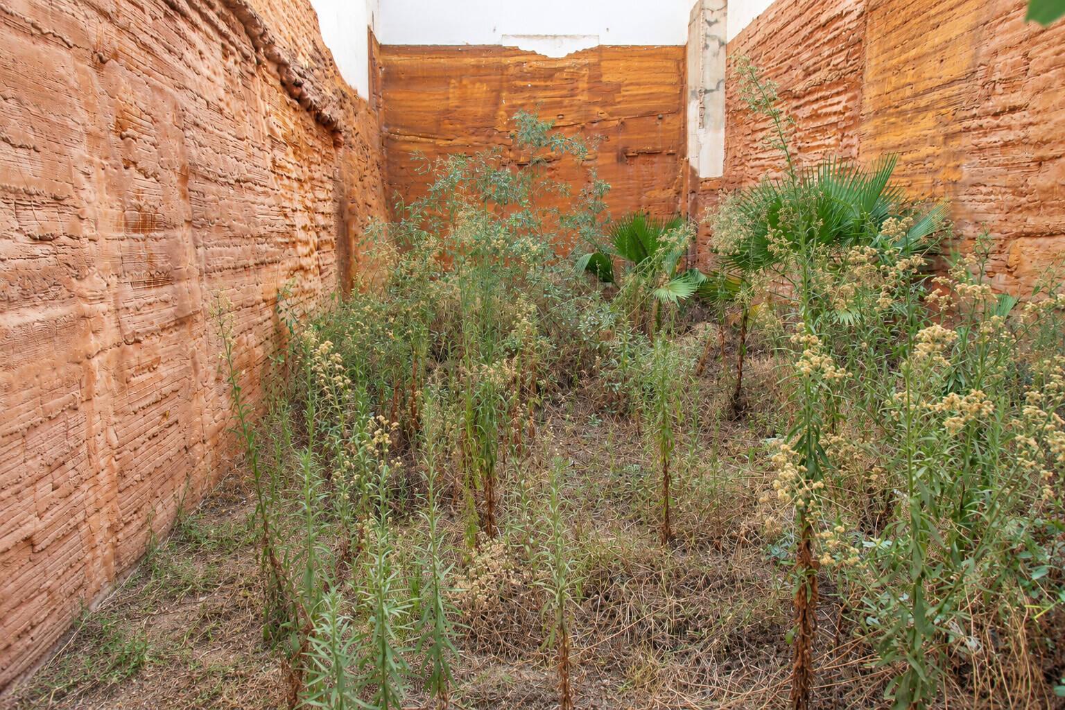 Solar en Venta en Torrevieja