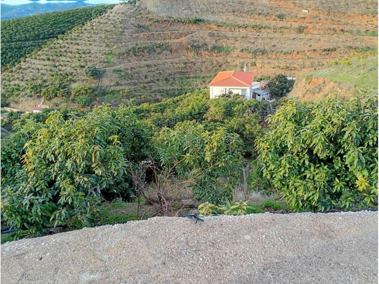 Building Site for Sale in Vélez-Málaga